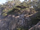 img026.jpeg.small.jpeg