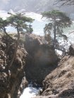 img029.jpeg.small.jpeg