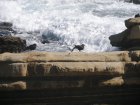 img101.jpeg.small.jpeg