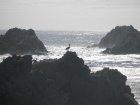 img107.jpeg.small.jpeg