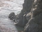 img112.jpeg.small.jpeg