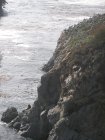 img113.jpeg.small.jpeg