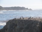 img120.jpeg.small.jpeg
