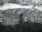 img126.jpeg.small.jpeg