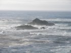 img142.jpeg.small.jpeg