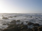 img159.jpeg.small.jpeg