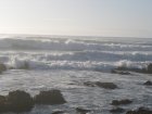 img160.jpeg.small.jpeg