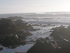 img161.jpeg.small.jpeg