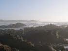 img164.jpeg.small.jpeg