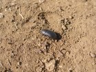 img027.jpeg.small.jpeg