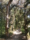 img032.jpeg.small.jpeg