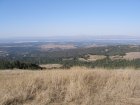 img043.jpeg.small.jpeg