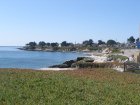 img013.jpeg.small.jpeg