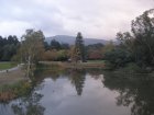 img005.jpeg.small.jpeg
