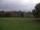 img010.jpeg.small.jpeg