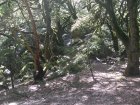 img000.jpeg.small.jpeg