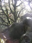 img002.jpeg.small.jpeg