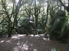 img003.jpeg.small.jpeg