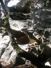 img006.jpeg.small.jpeg