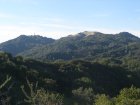 img034.jpeg.small.jpeg