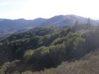 img037.jpeg.small.jpeg