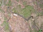 img043.jpeg.small.jpeg