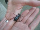 img046.jpeg.small.jpeg
