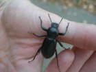 img047.jpeg.small.jpeg