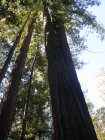 img000.jpeg.small.jpeg