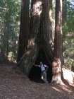 img003.jpeg.small.jpeg