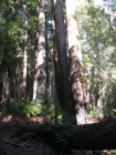 img004.jpeg.small.jpeg