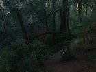 img007.jpeg.small.jpeg