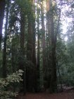 img010.jpeg.small.jpeg
