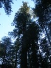 img011.jpeg.small.jpeg