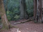 img012.jpeg.small.jpeg