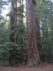img014.jpeg.small.jpeg