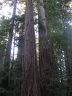 img015.jpeg.small.jpeg