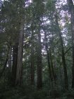 img016.jpeg.small.jpeg