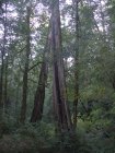 img017.jpeg.small.jpeg