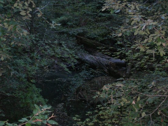 img020.jpeg.medium.jpeg