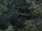 img020.jpeg.small.jpeg