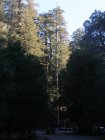 img022.jpeg.small.jpeg