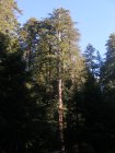 img023.jpeg.small.jpeg