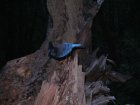 img026.jpeg.small.jpeg