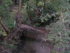 img029.jpeg.small.jpeg