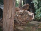 img031.jpeg.small.jpeg