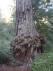 img033.jpeg.small.jpeg