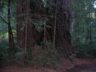 img035.jpeg.small.jpeg