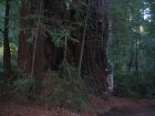 img036.jpeg.small.jpeg