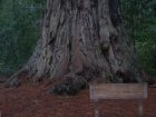 img039.jpeg.small.jpeg
